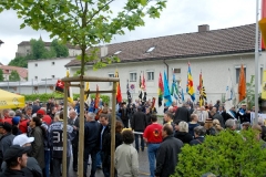 C_2011